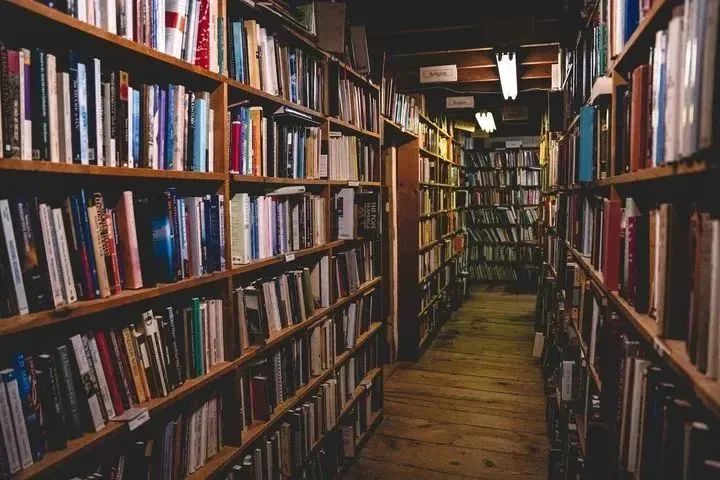 电子图书馆网站_图书馆电子网站是什么_图书馆电子资源平台