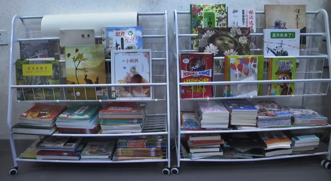 电子图书馆搭建_电子图书馆建设_如何使用图书馆电子资源